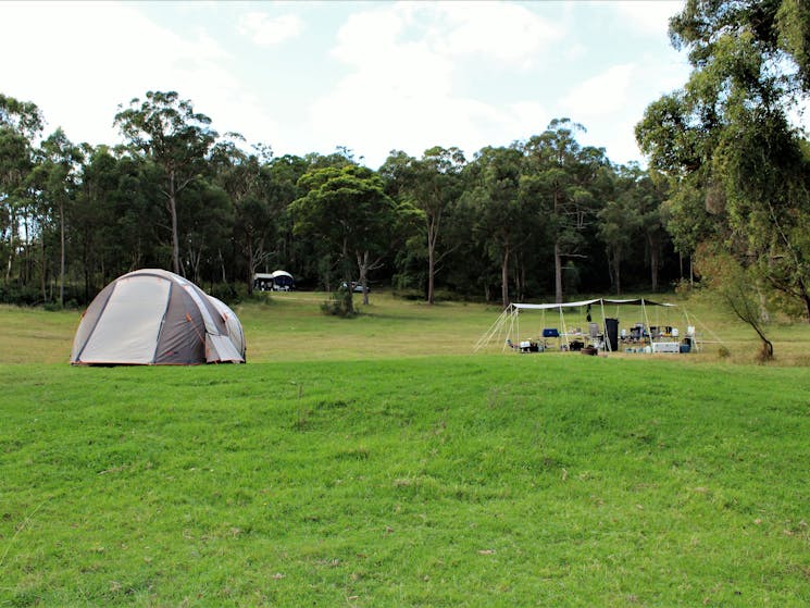 A tent at one of our group campsites in our forest area.
