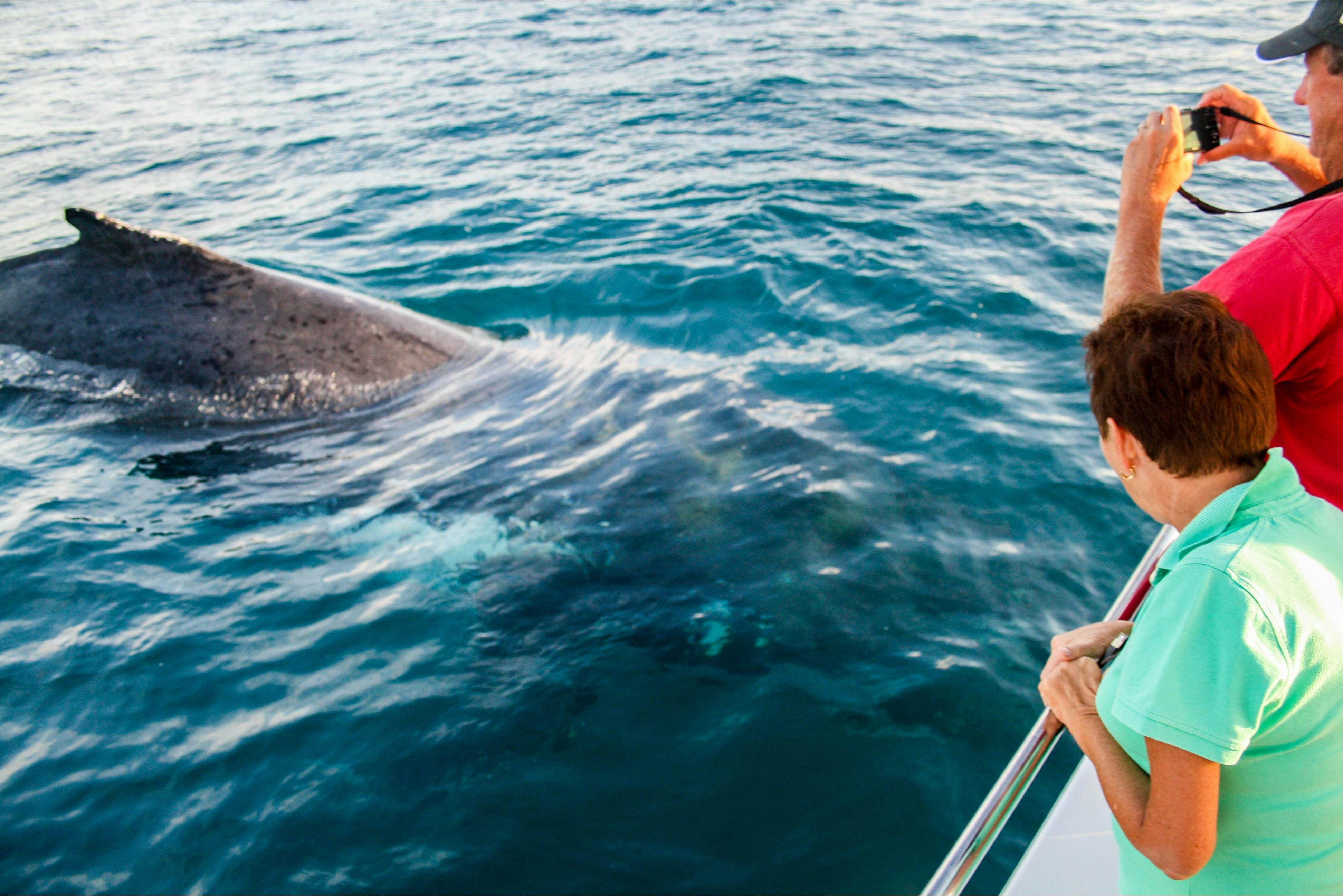 Ocean Eco Adventures, Exmouth, Western Australia