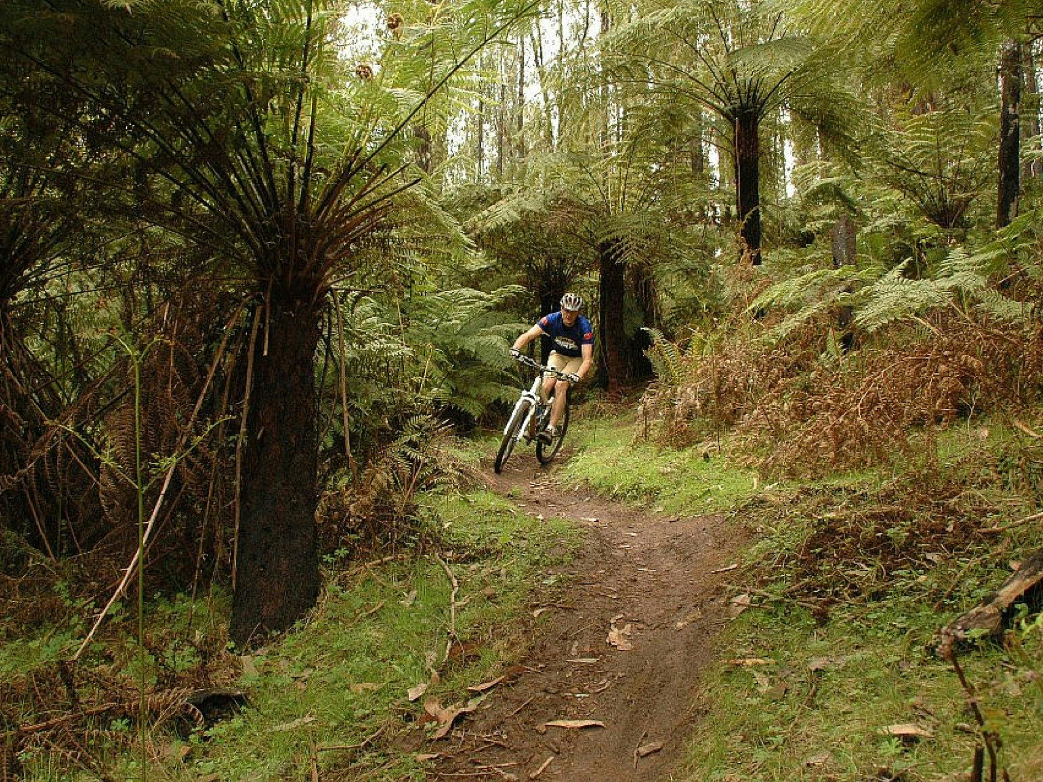 Buxton Mountain Bike Path