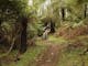 Buxton Mountain Bike Path