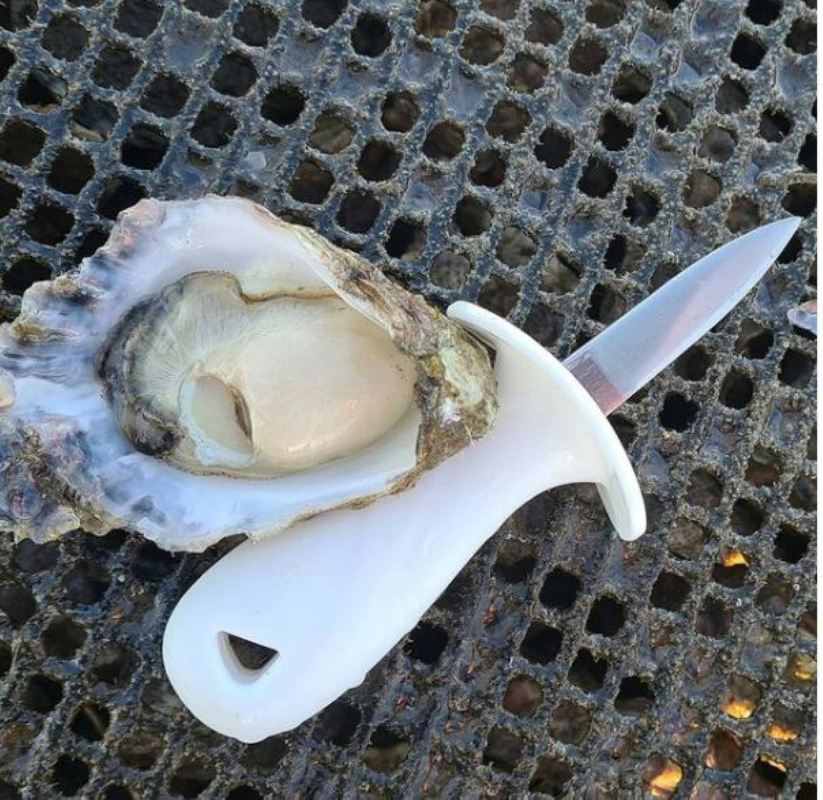 We harvest almost daily to make sure our customers get the freshest oysters