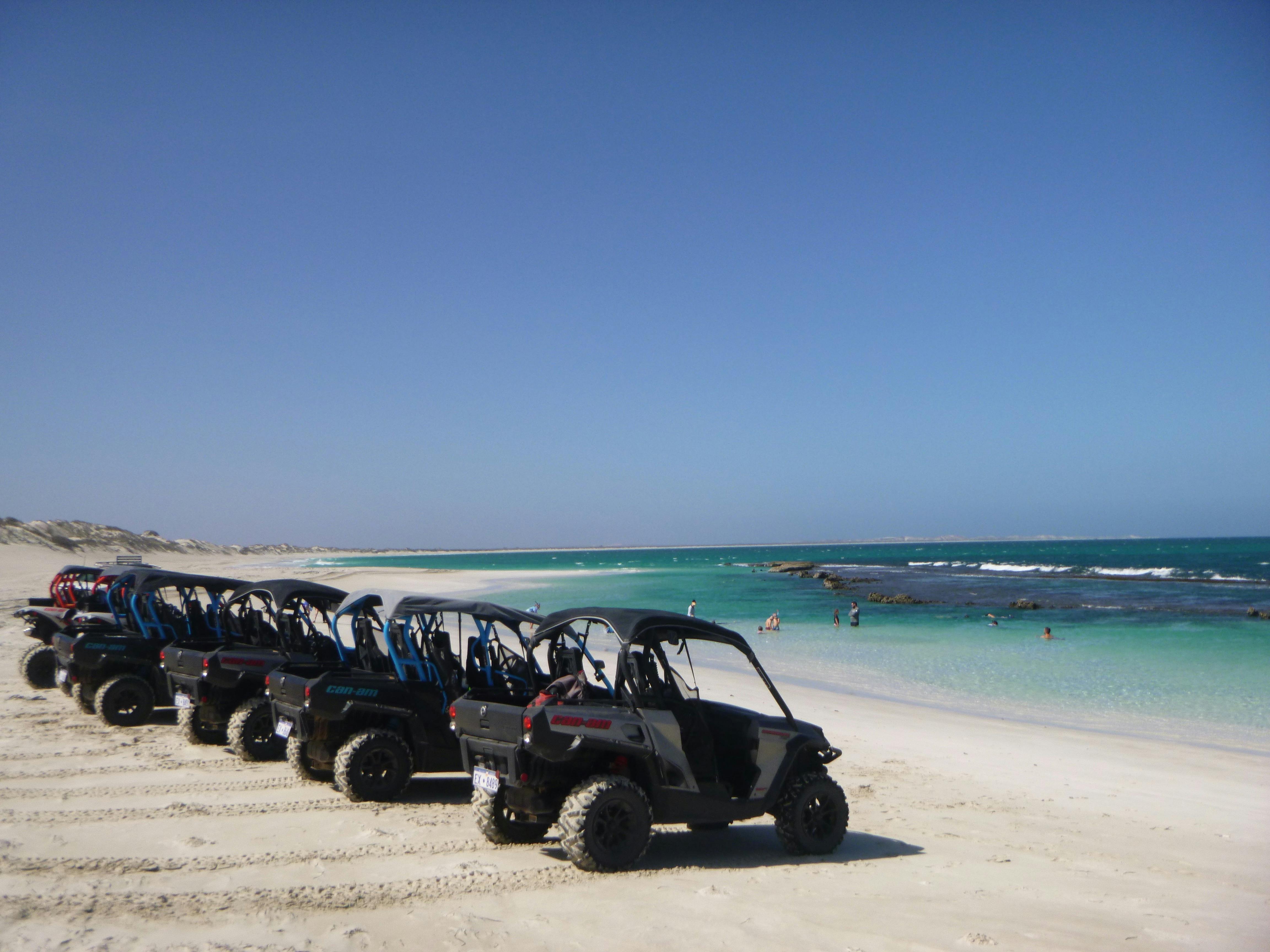 Coral Coast Tours