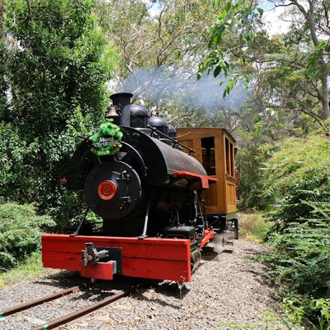 Illawarra Light Railway Steam Train