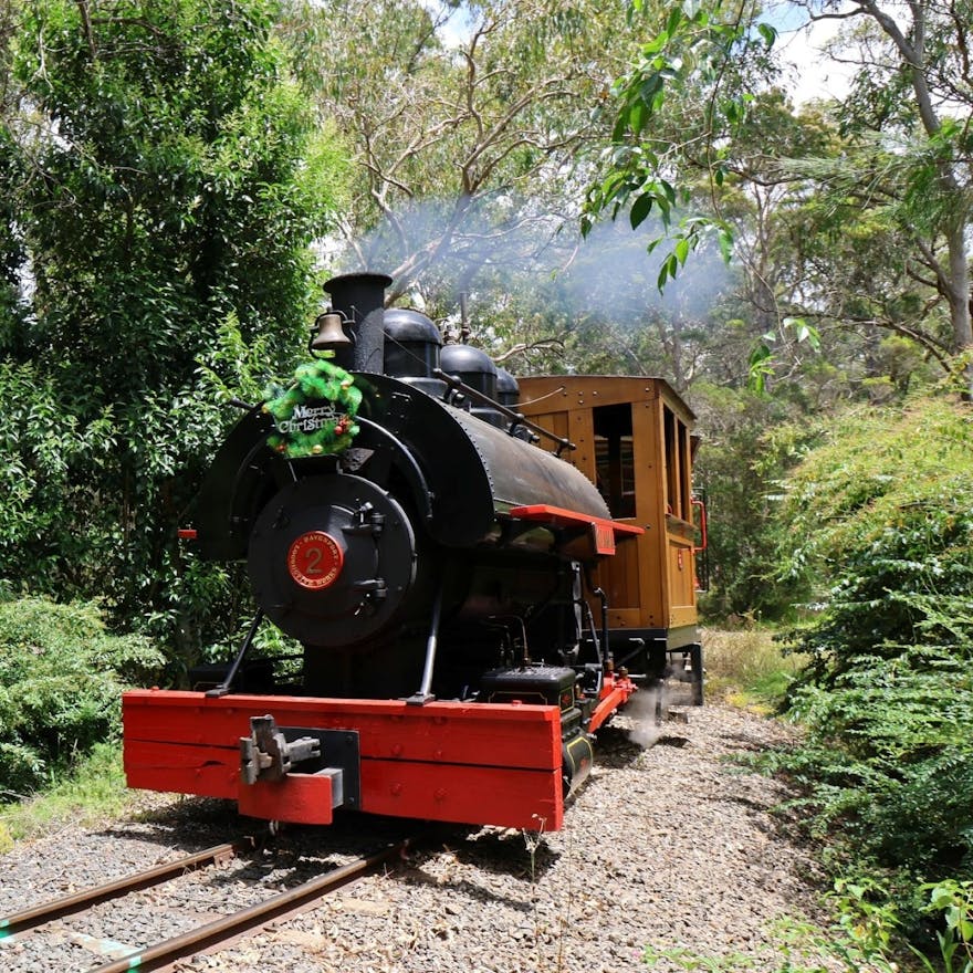 Illawarra Light Railway Steam Train