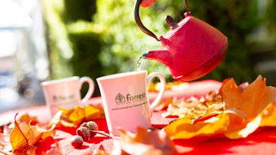 Nothing like a cuppa after a long drive..b