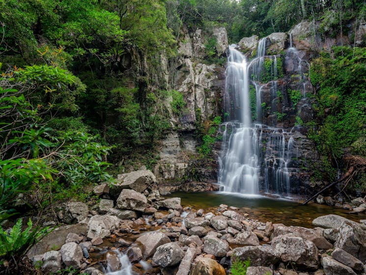Lower Minnamurra Falls plunges into a creek in Budderoo National Park.