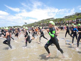 37th Rip View Swim Classic