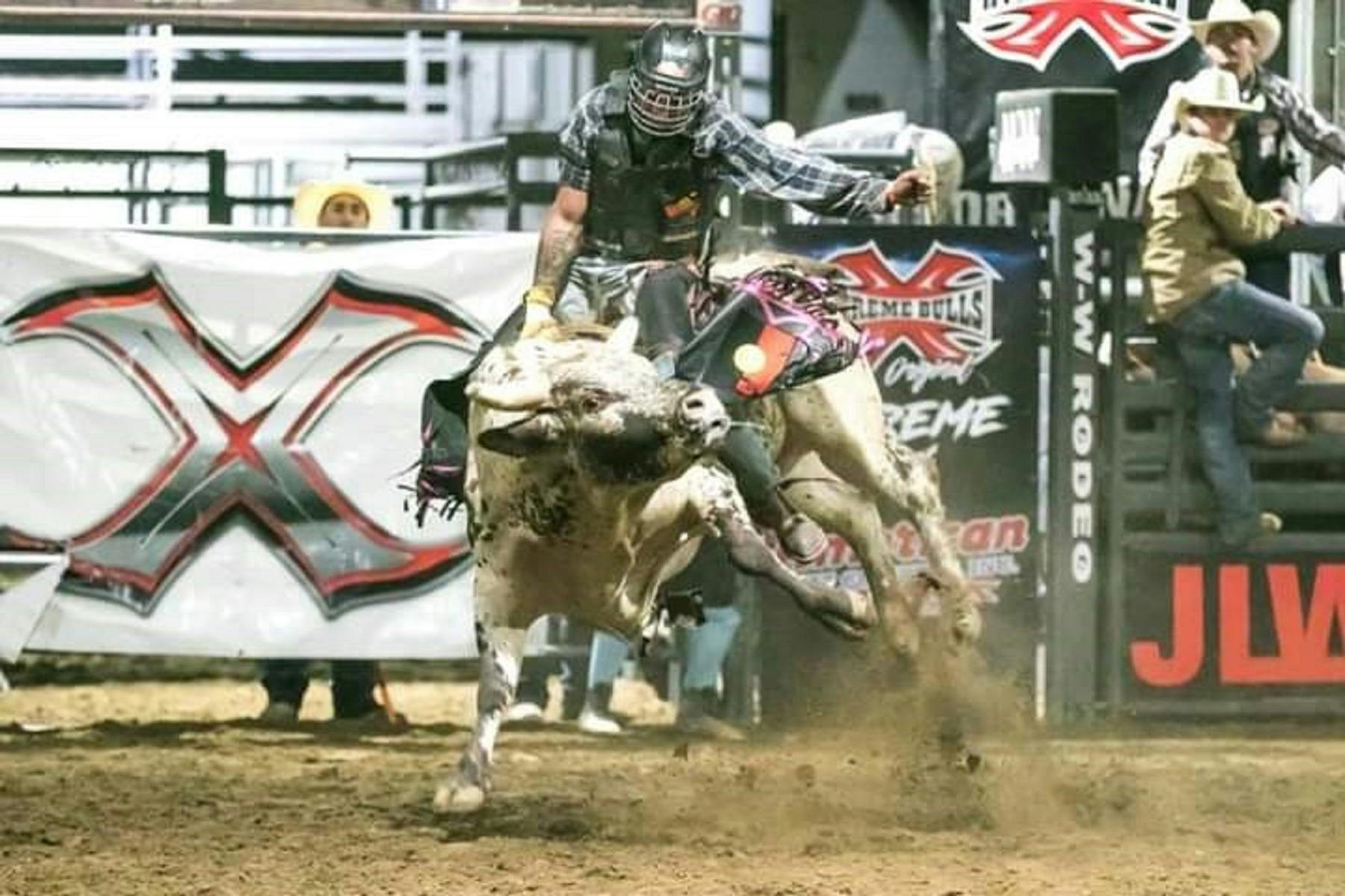 Tasman Logistics Services Warrnambool Rodeo