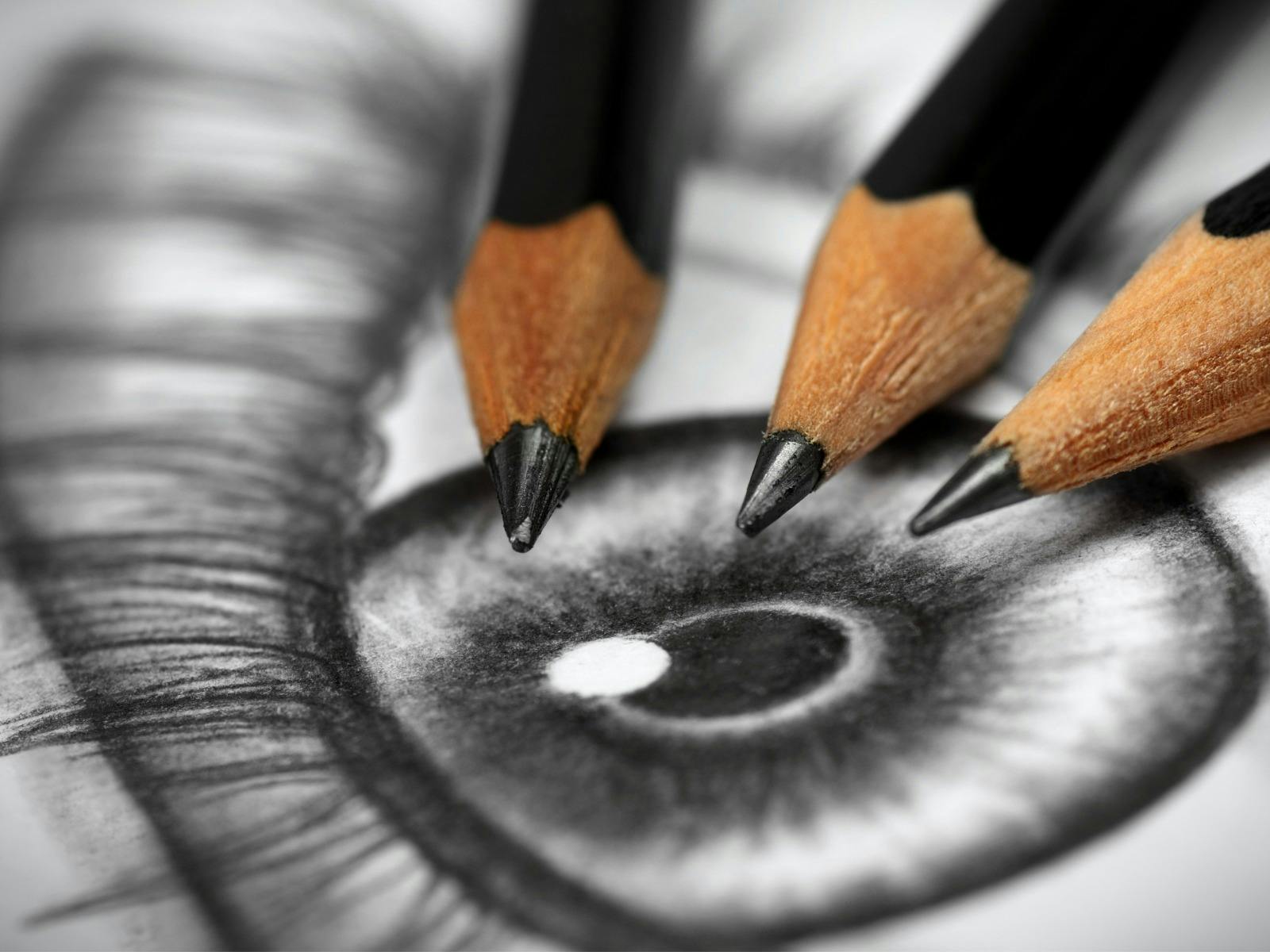 Drawing at the produce store