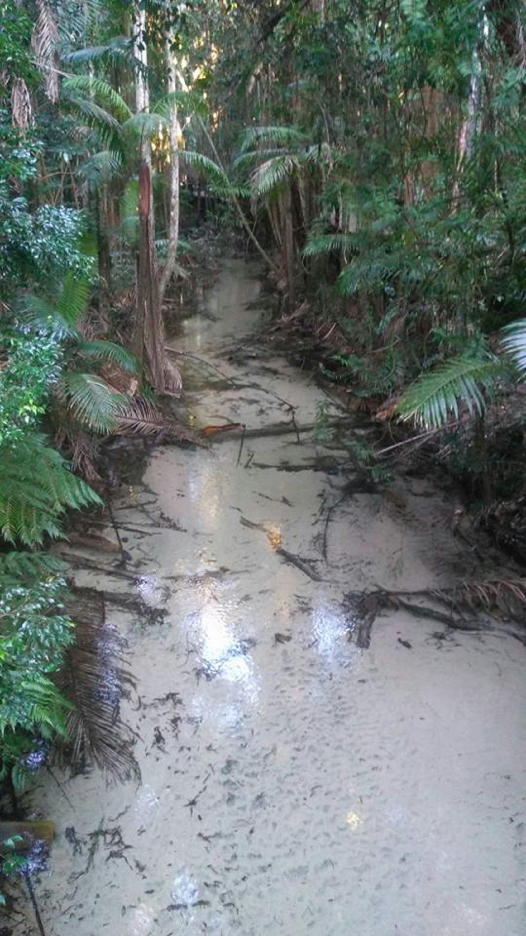 1 Day - Fraser Island