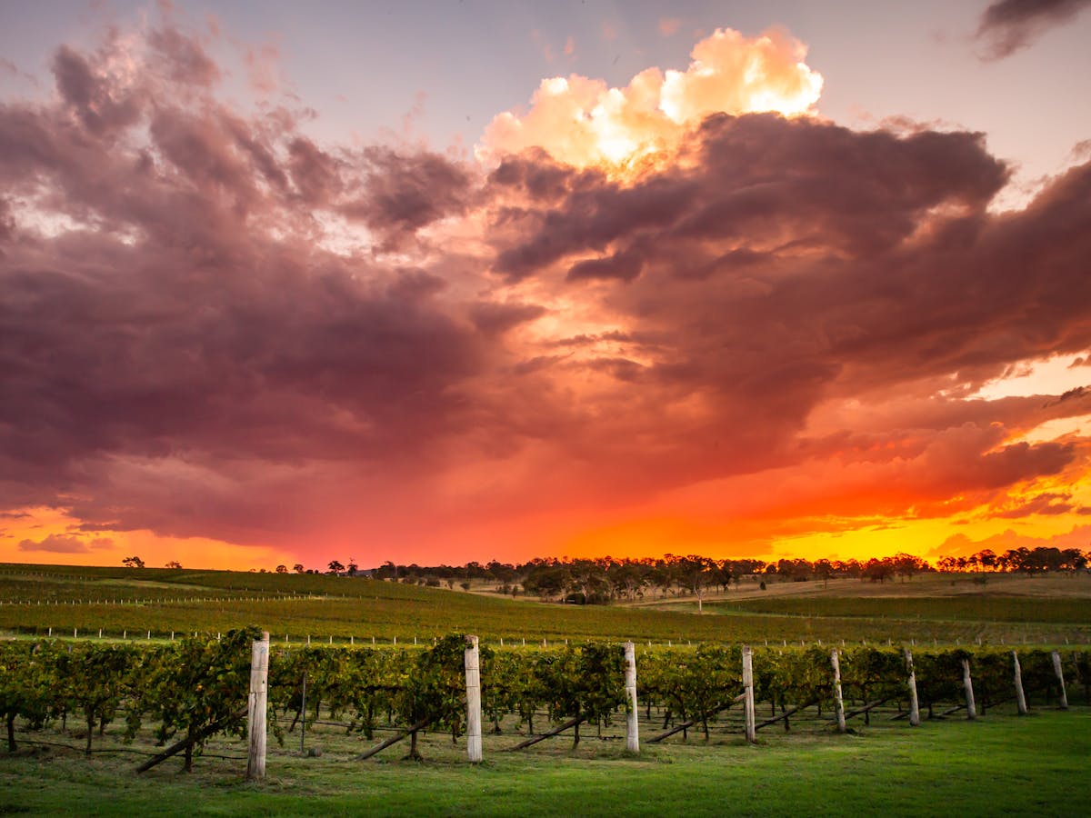 Moffatdale Winery