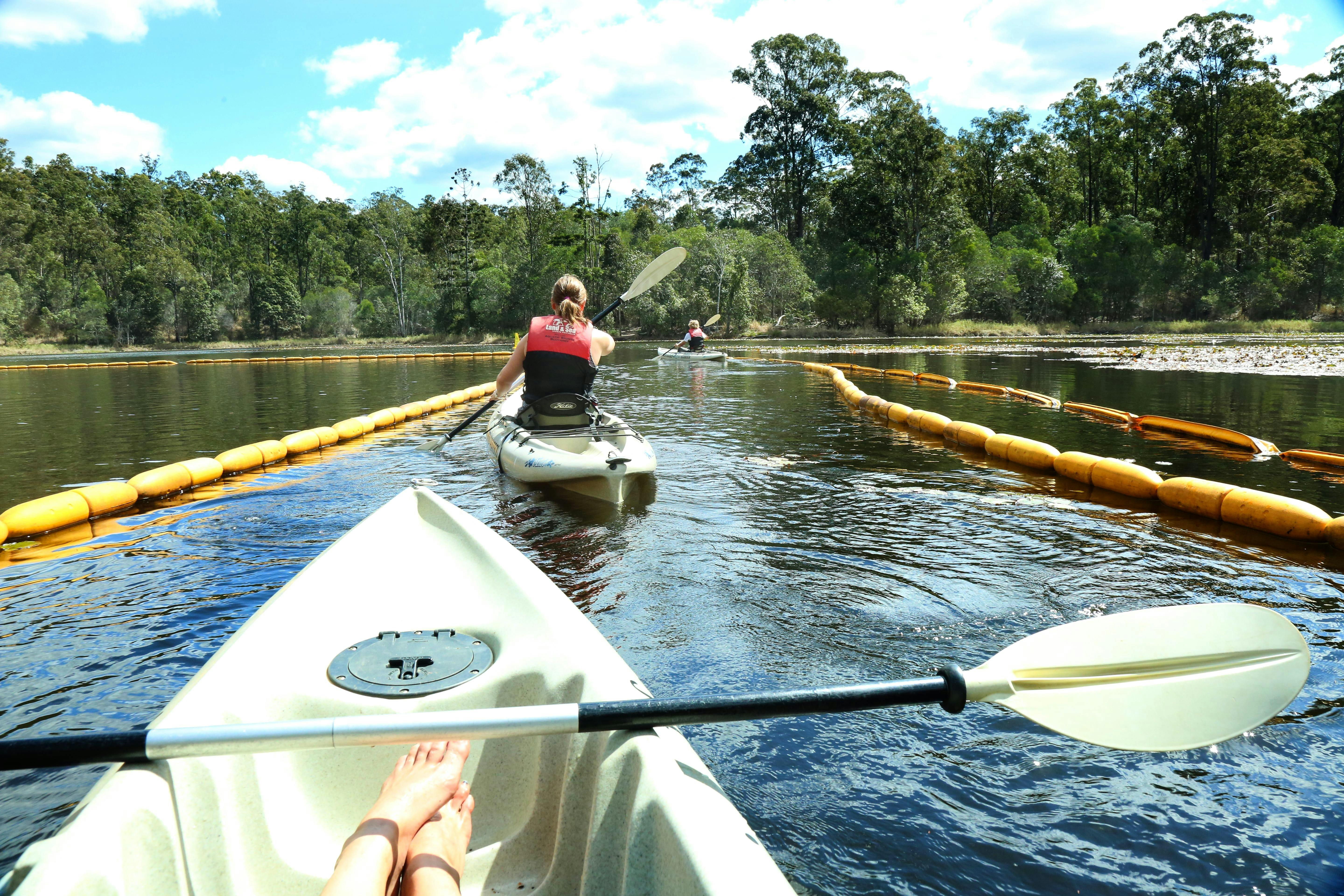 Kayak Enoggera Reservoir at Walkabout Creek Adventures