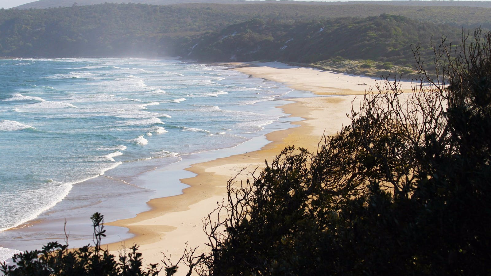 Angourie Back Beach