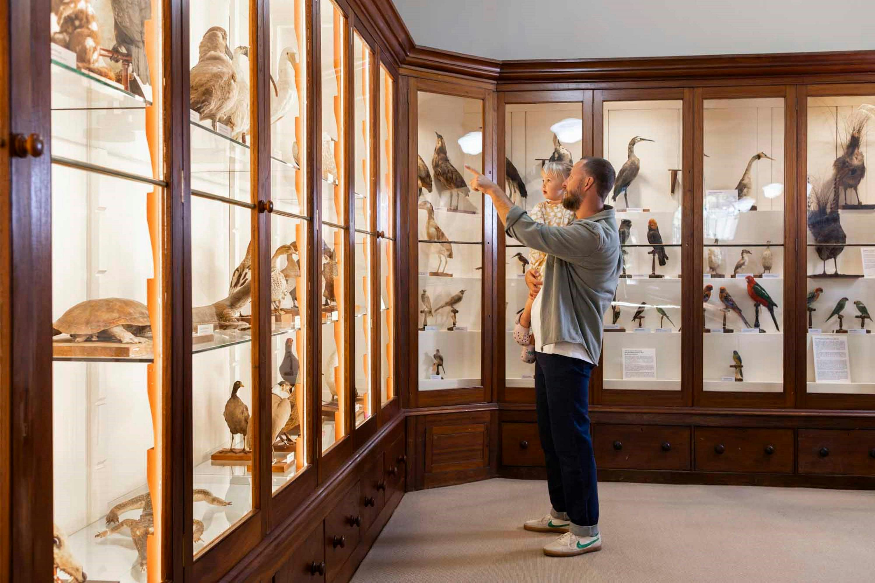 Father and daughter looking through glass cabinets of taxidermy animals