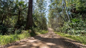 Double Wharf to Whoota Lookout Cycle Loop