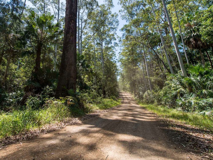 Double Wharf to Whoota Whoota cycle loop, Wallingat National Park. Photo: John Spencer