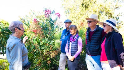 A volunteer guides leads a free guided walk