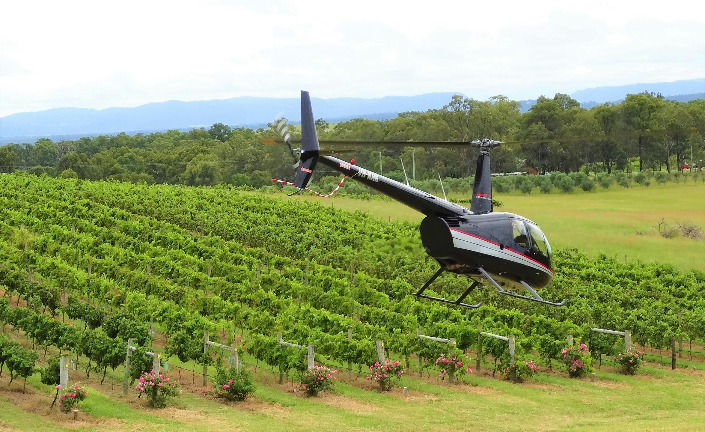 와인 앤 마인 컨트리