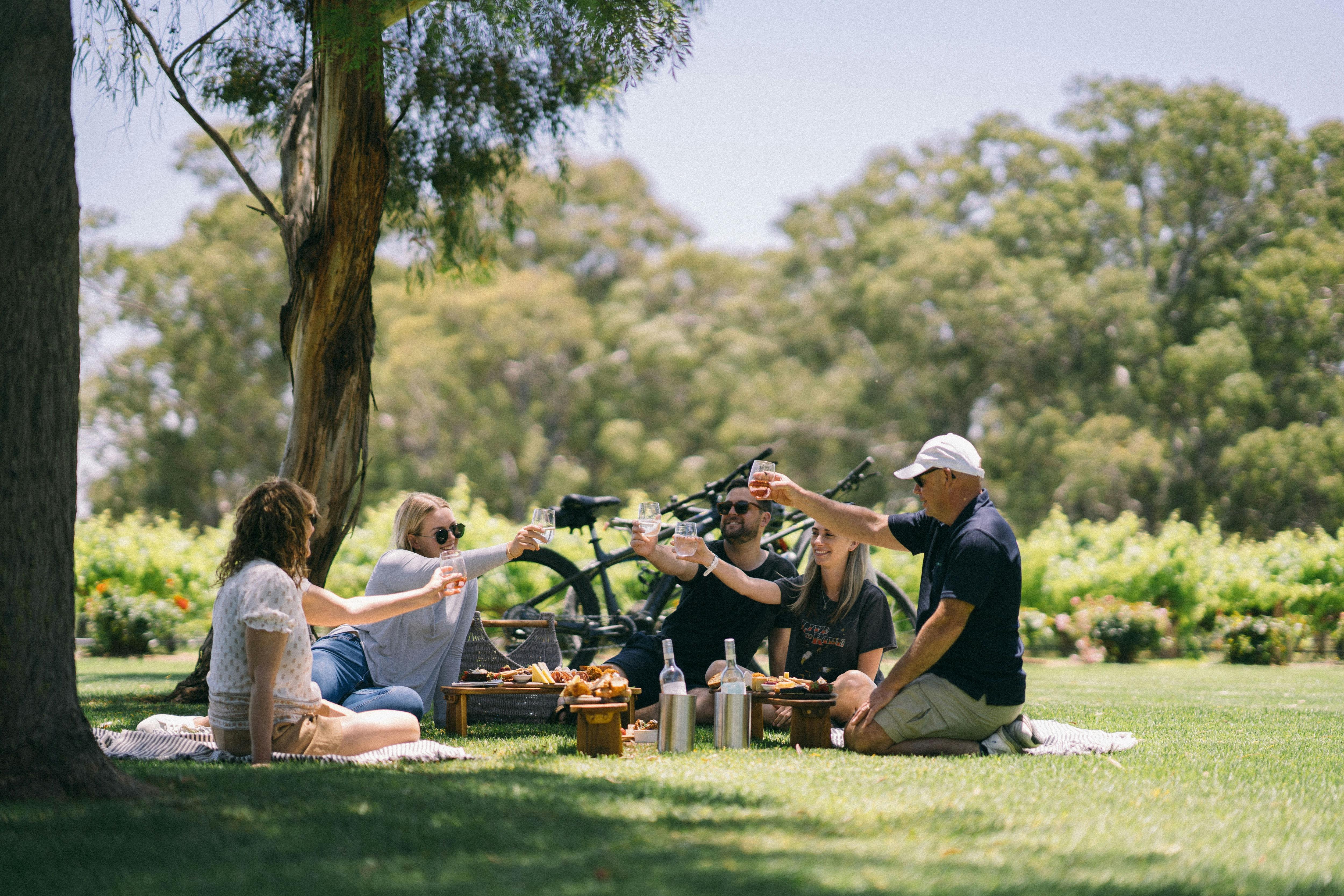 3 Day | Grapes for Good - E-Cycling Safari & Wine Experience