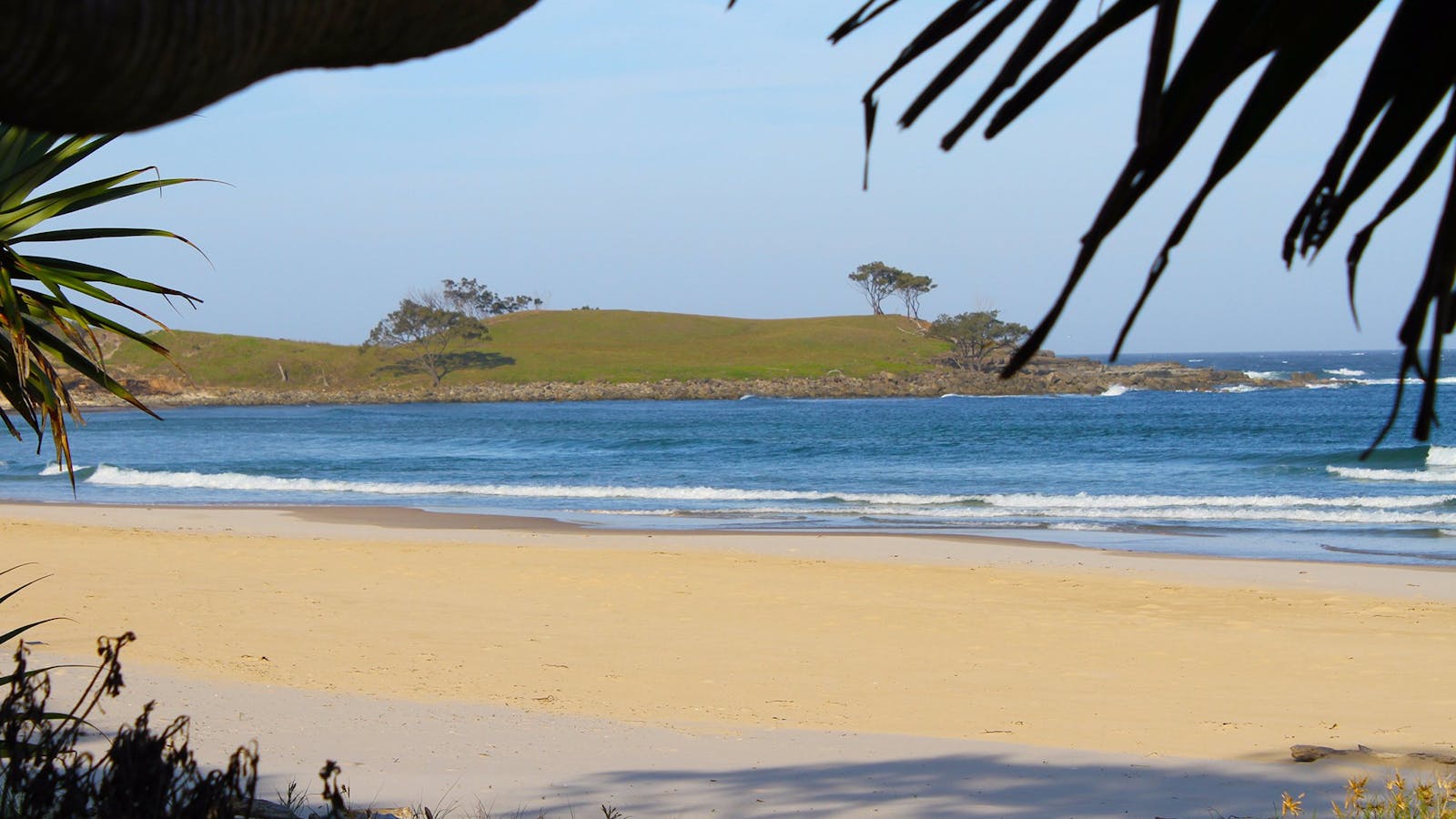 Angourie Back Beach