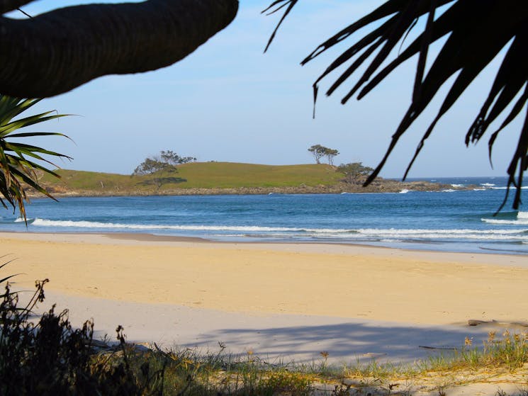 Looking back over the sand to Angourie Headland.