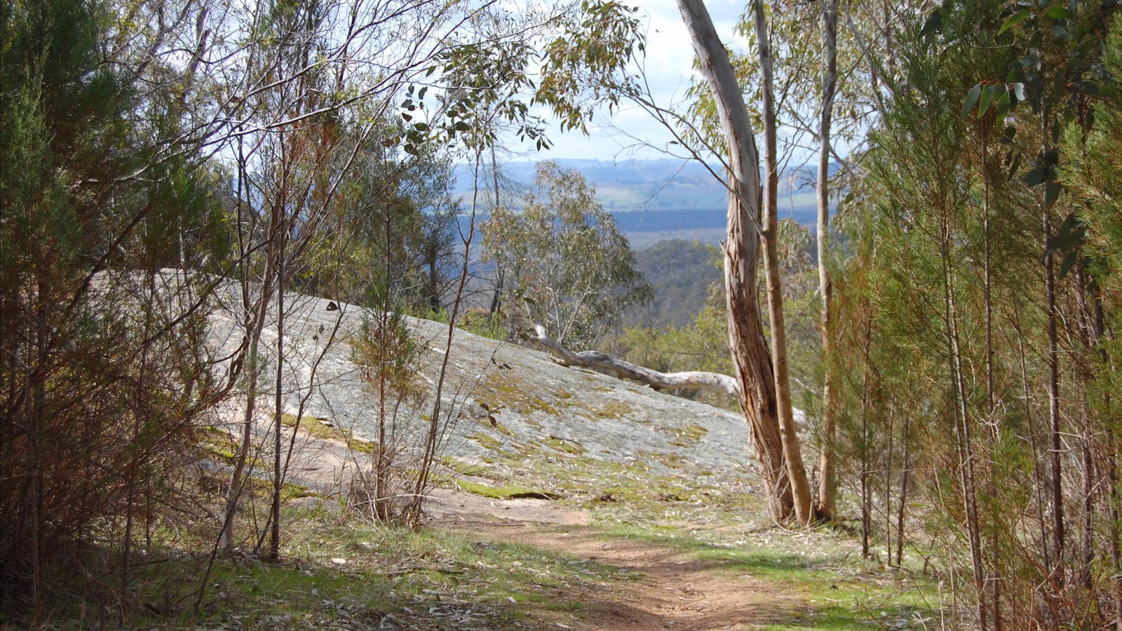 Mt Pilot Cycle Route