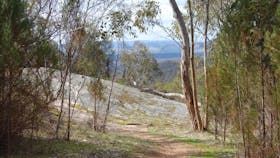 Mt Pilot Cycle Route