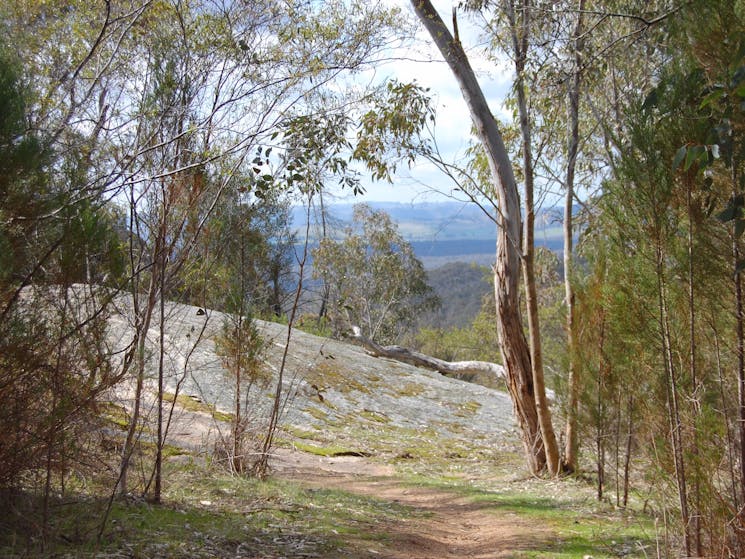 View from path on climb up Mt Pilot