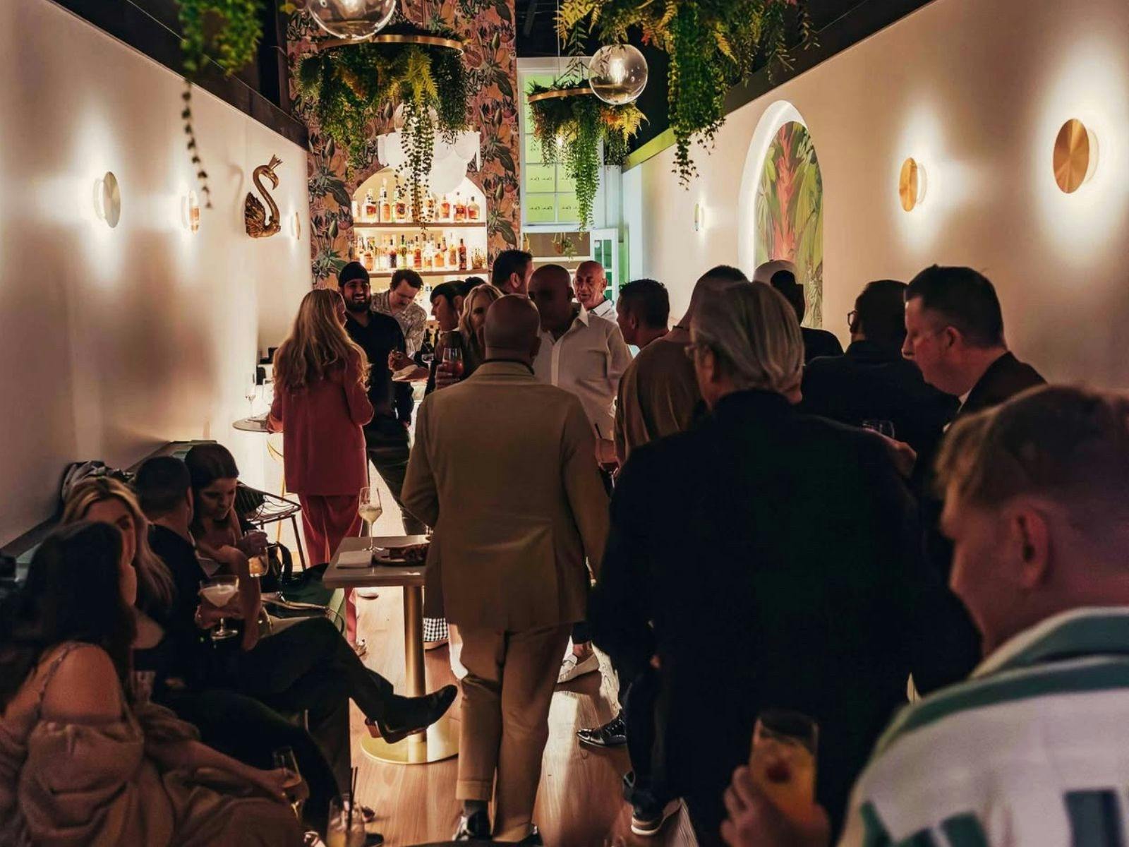 A Lively Evening at Nok Nok