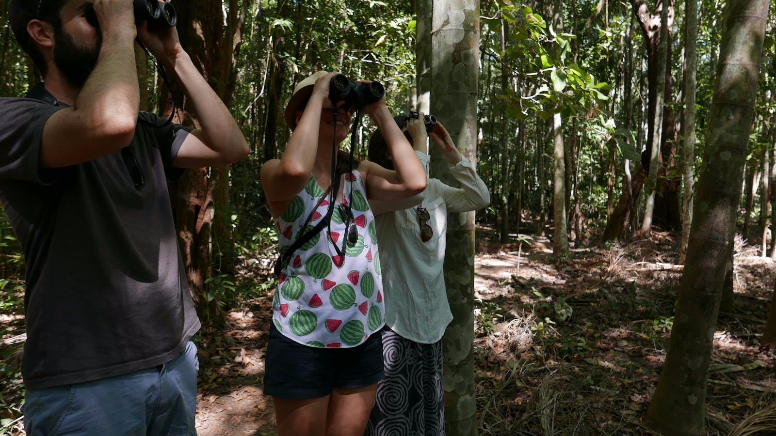 Holmes Jungle Nature Park