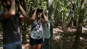 Holmes Jungle Nature Park, Birding