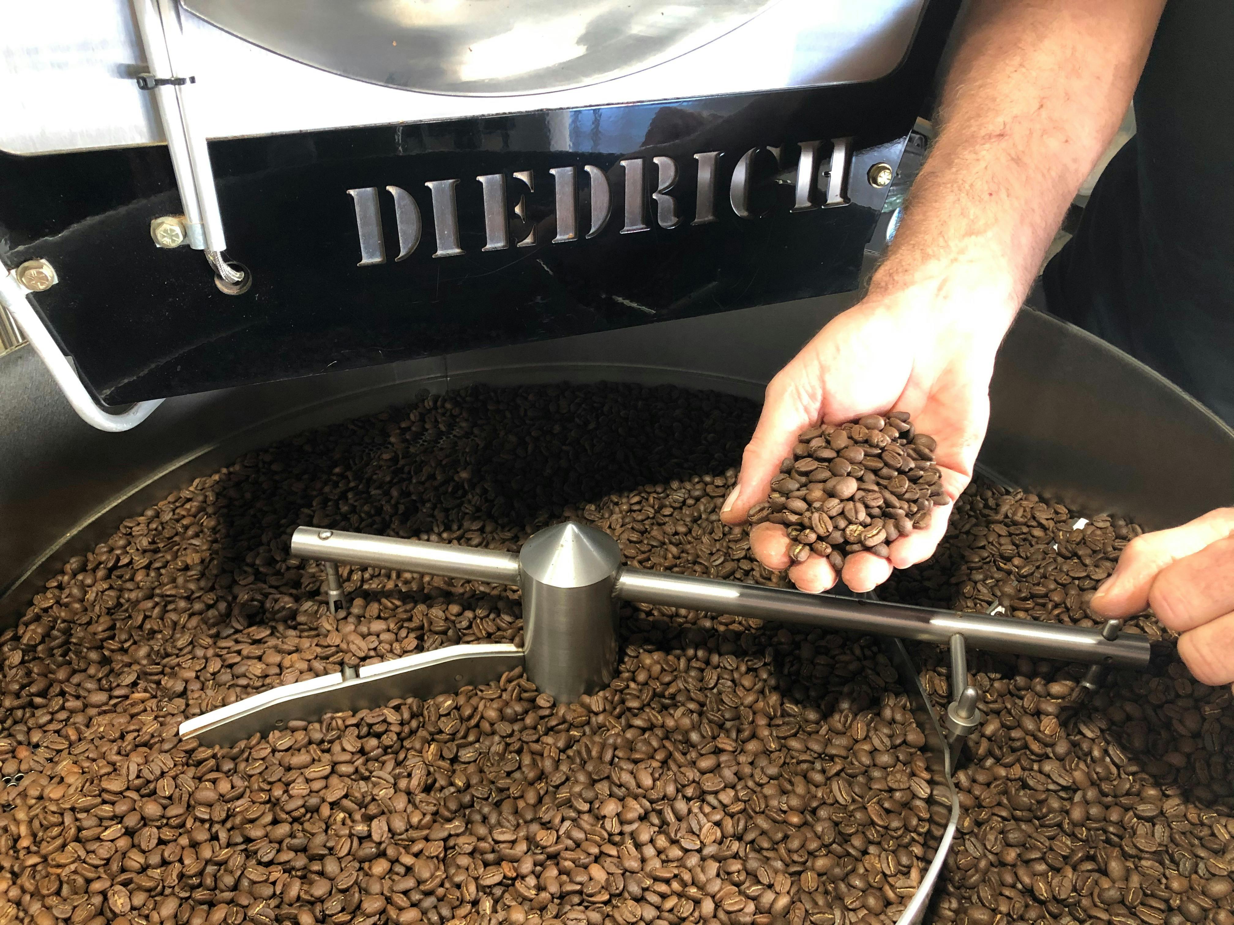 roasted coffee in hand