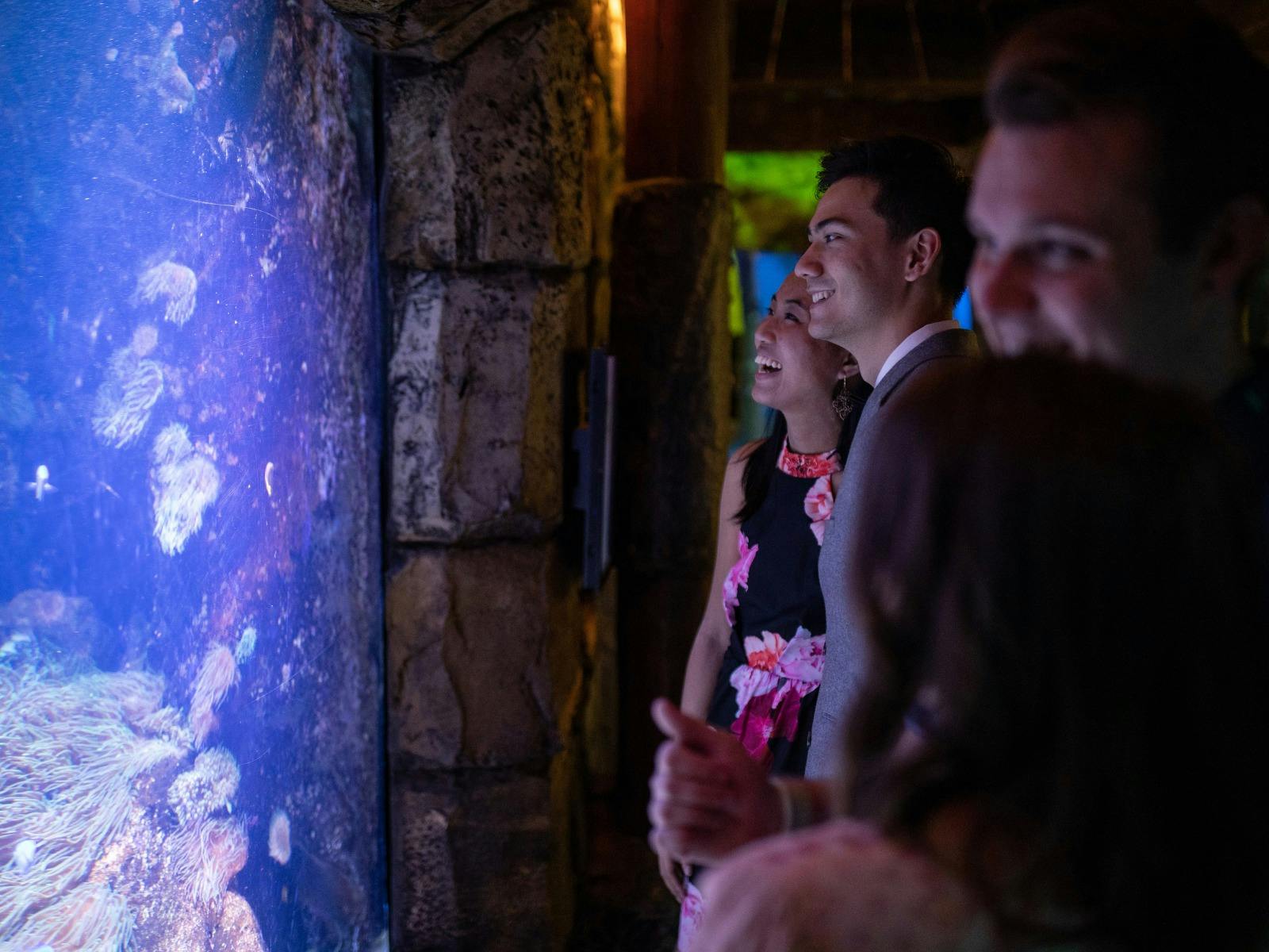 Adults Only Evening - SEA LIFE Sydney Aquarium