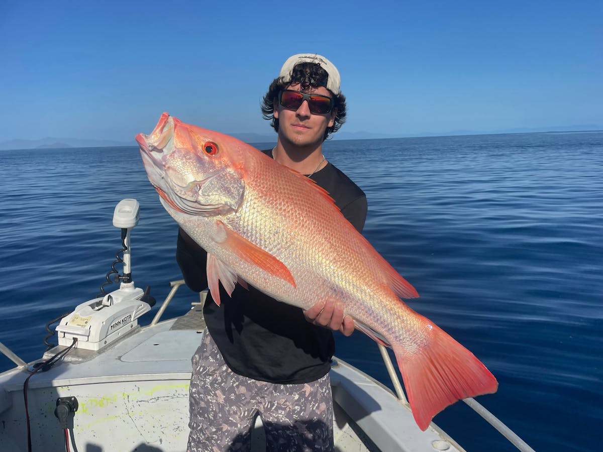 Bait fishing on the Great Barrier Reef from Cairns for Large mouth nannygai!