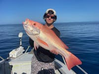 Bait fishing on the Great Barrier Reef from Cairns for Large mouth nannygai!