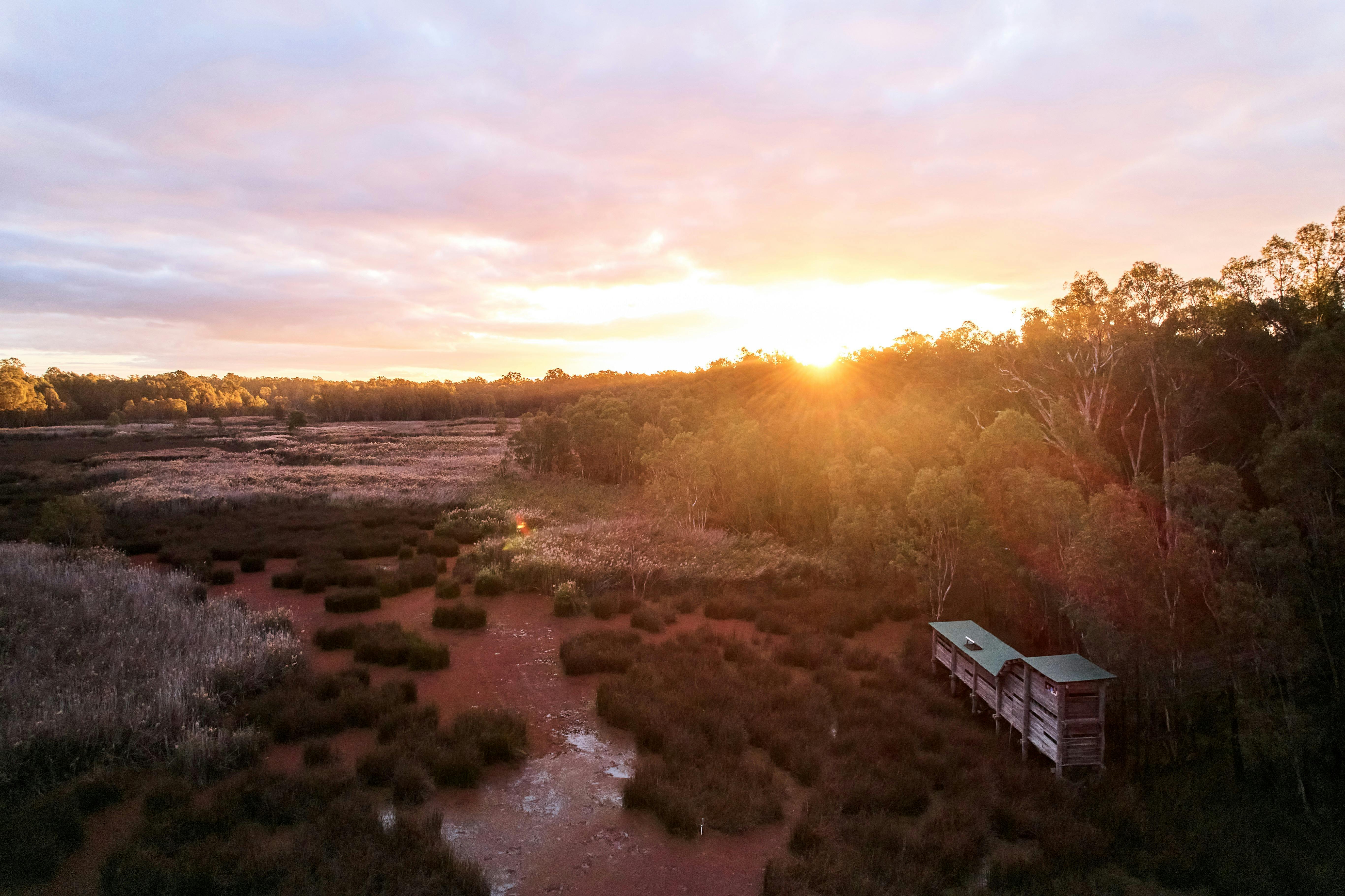 Reed Beds Bird Hide