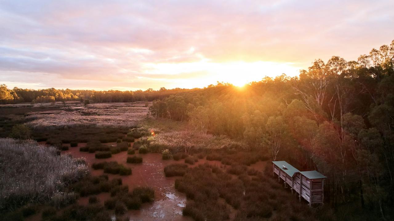 Reed Beds Bird Hide Boardwalk