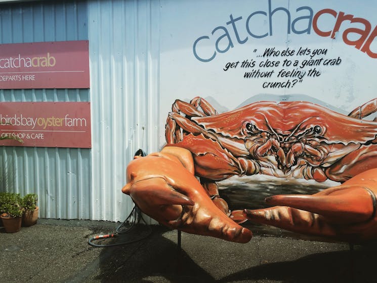 Get up close and personal with a giant crab