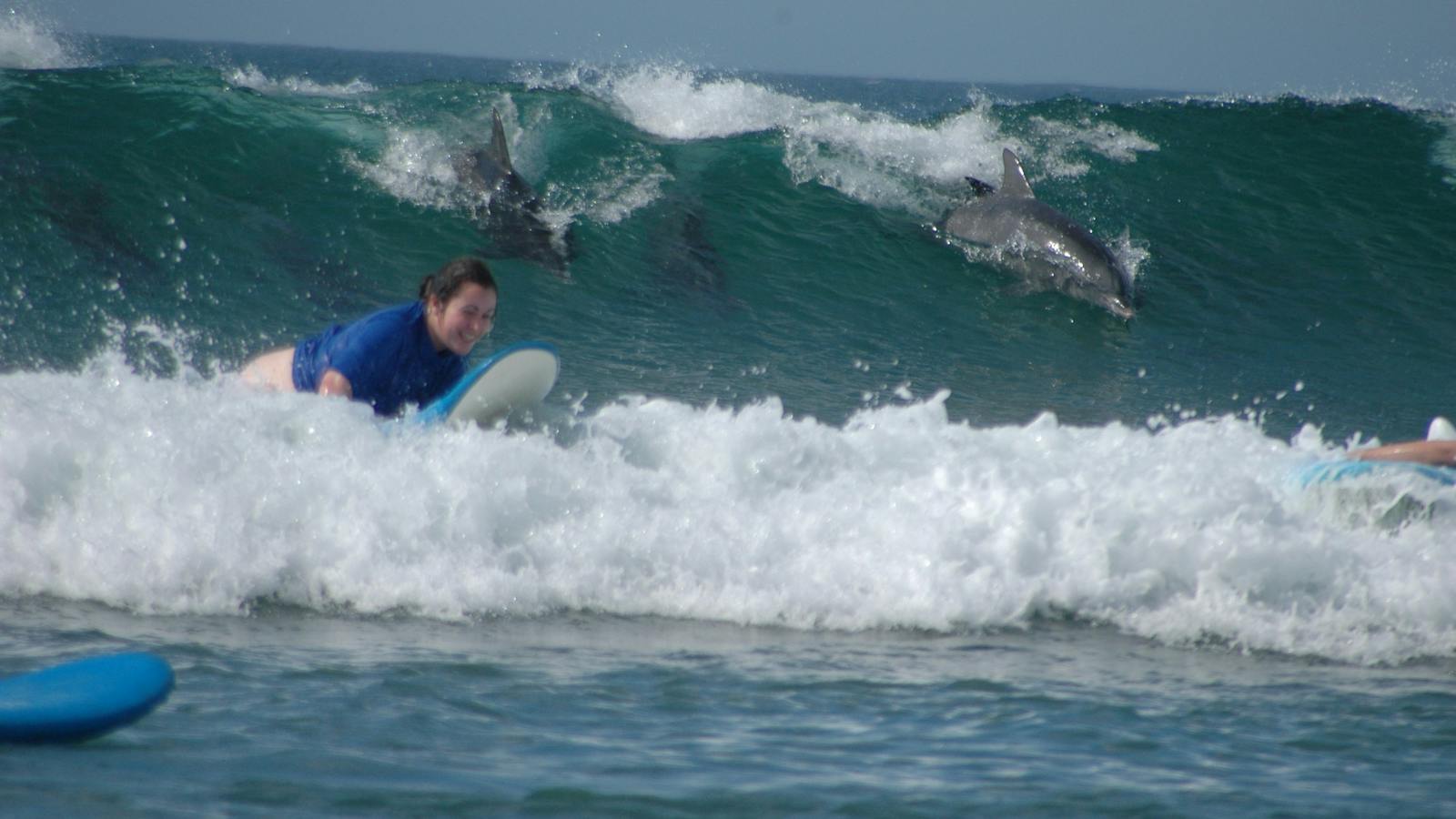 Surf Camp Australia