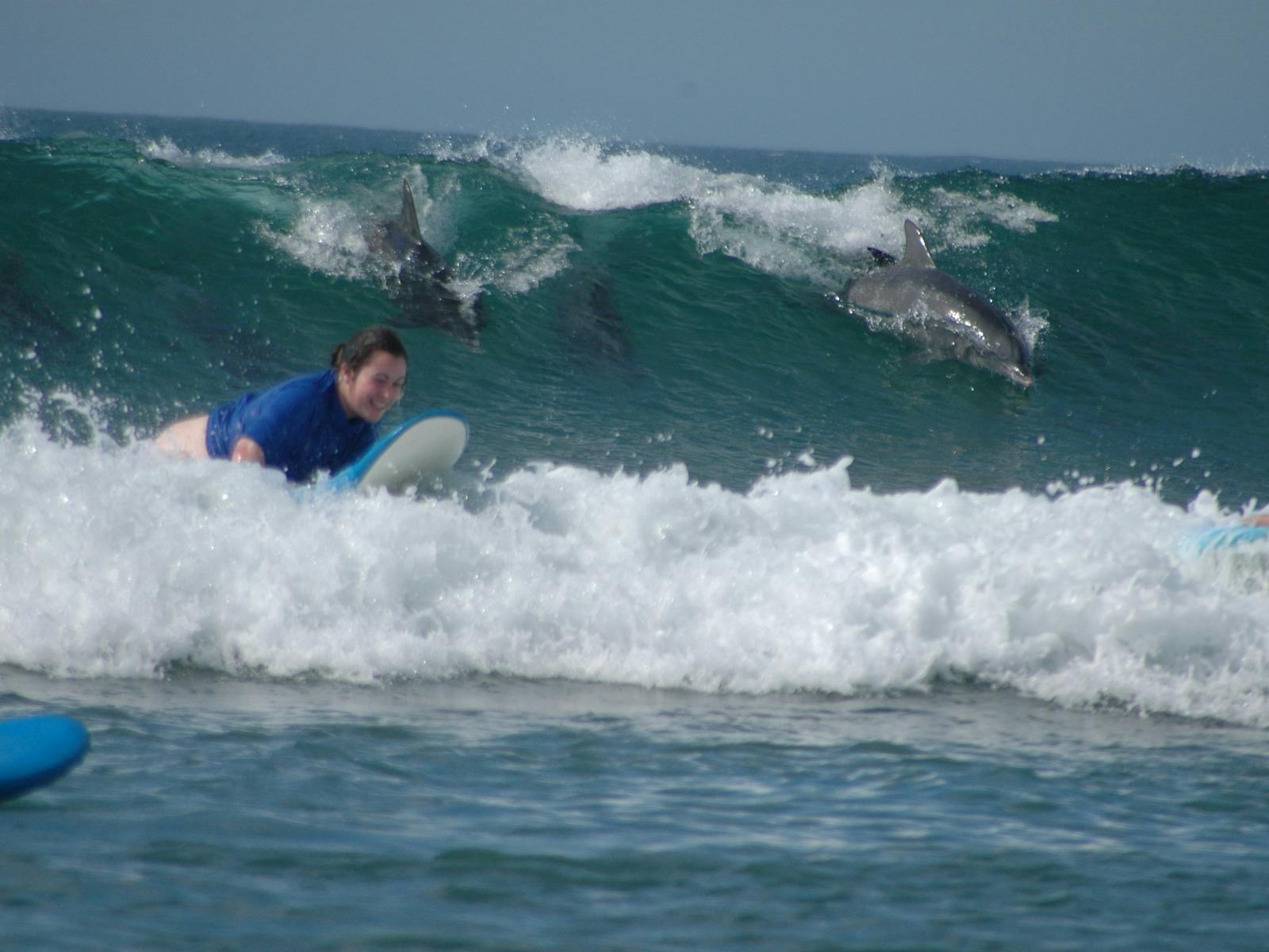 Surfcamp Australien