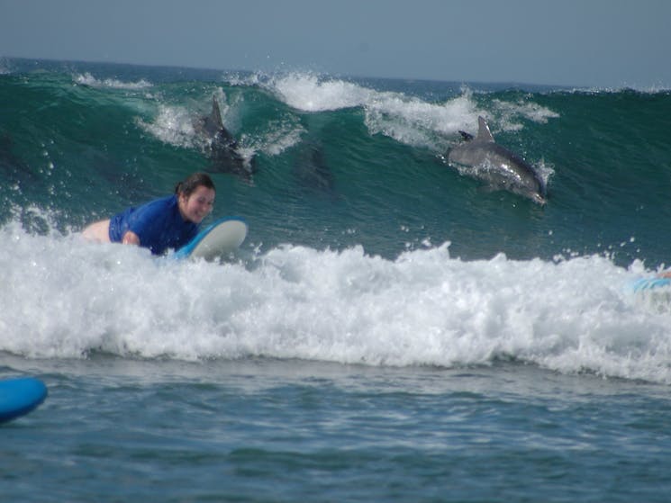 Surf Camp Australia