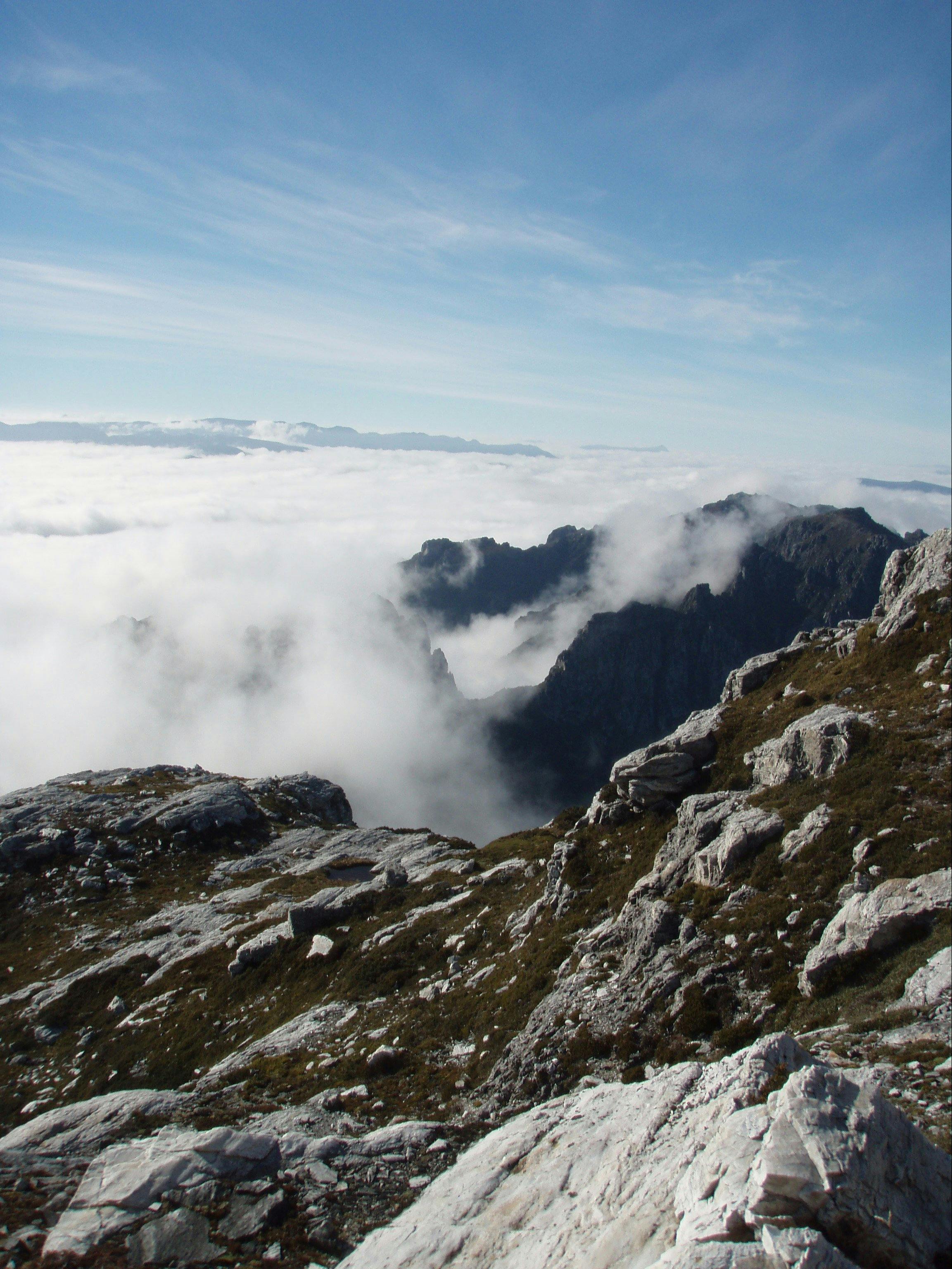 Frenchman's Cap Walking Tours