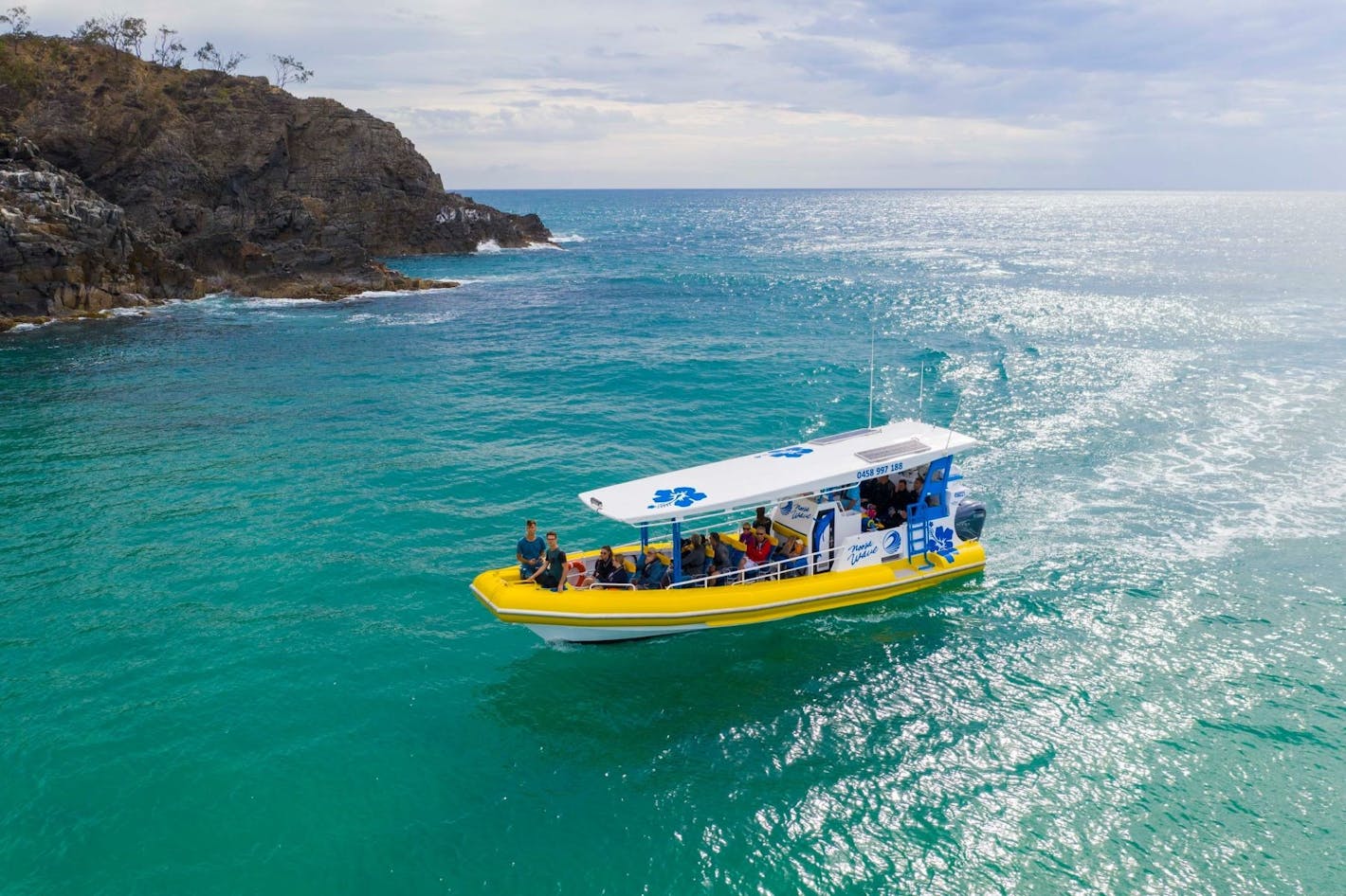 Dolphin Ride Adventure - Noosa Wave Boating Adventures