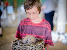 Berry Show Petting Zoo