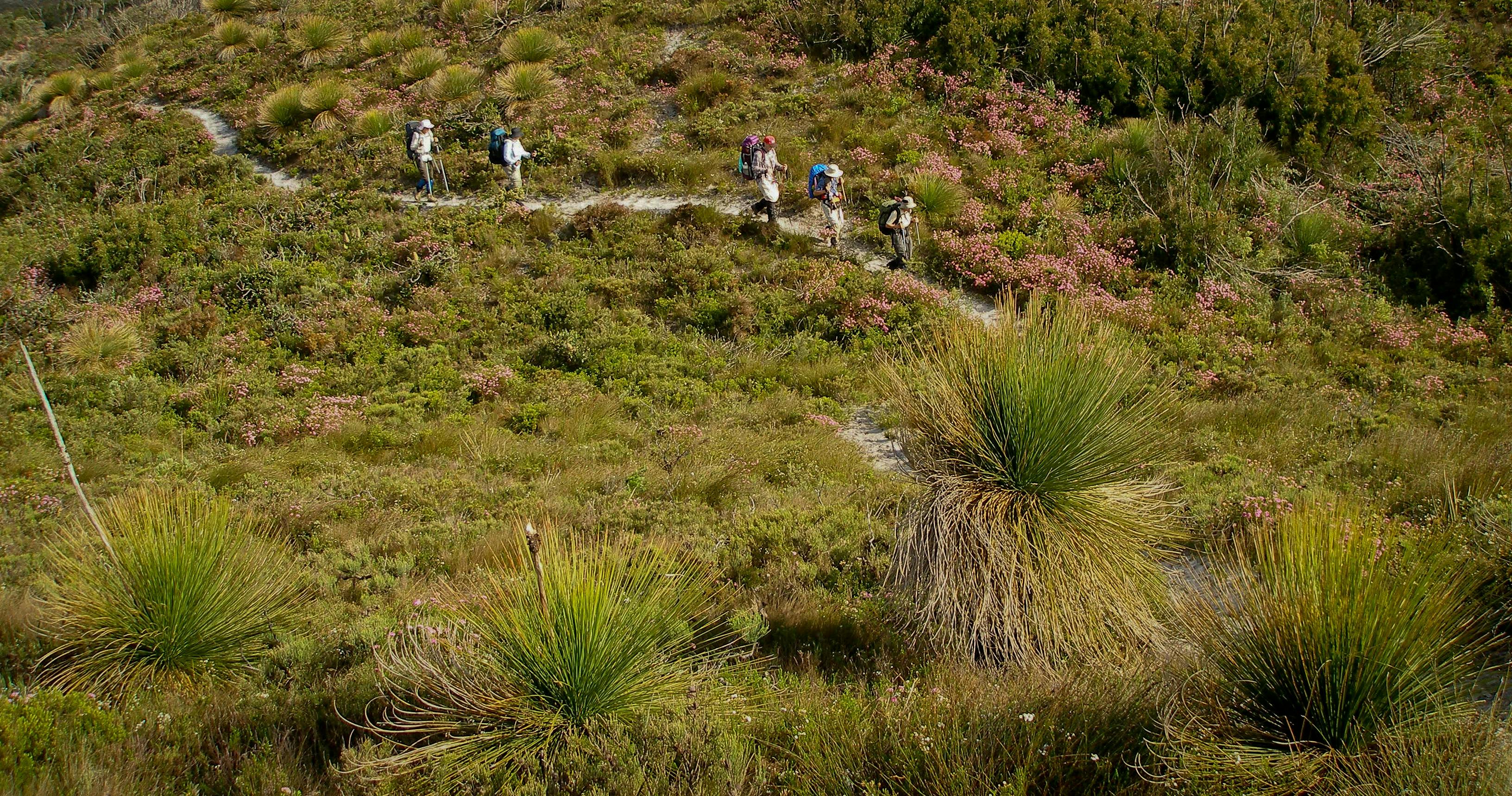 Bibbulmun Track, Kalamunda, Western Australia