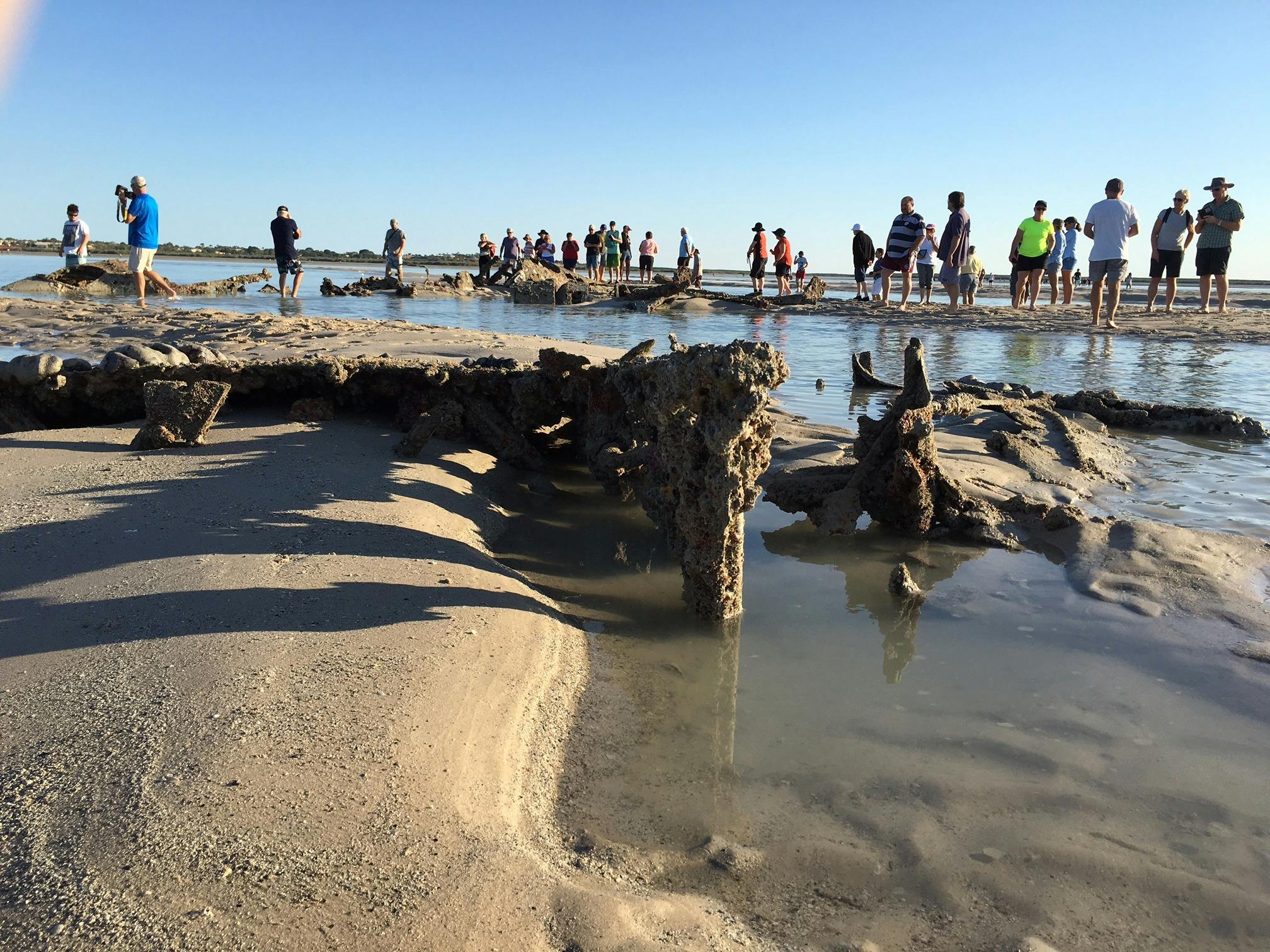 Tour guests exploring the World War II Dornier Plane wreck on the sea floor