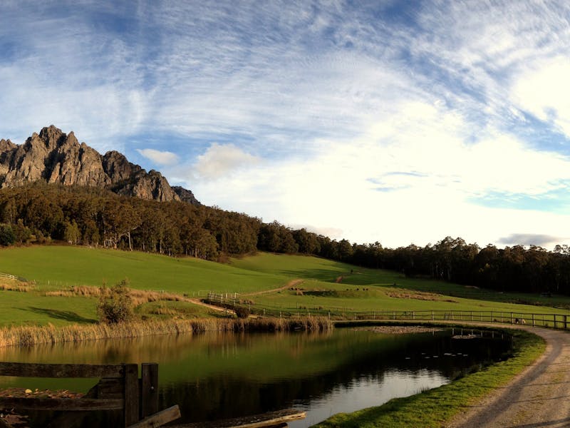 View outside reception area of Mt Roland