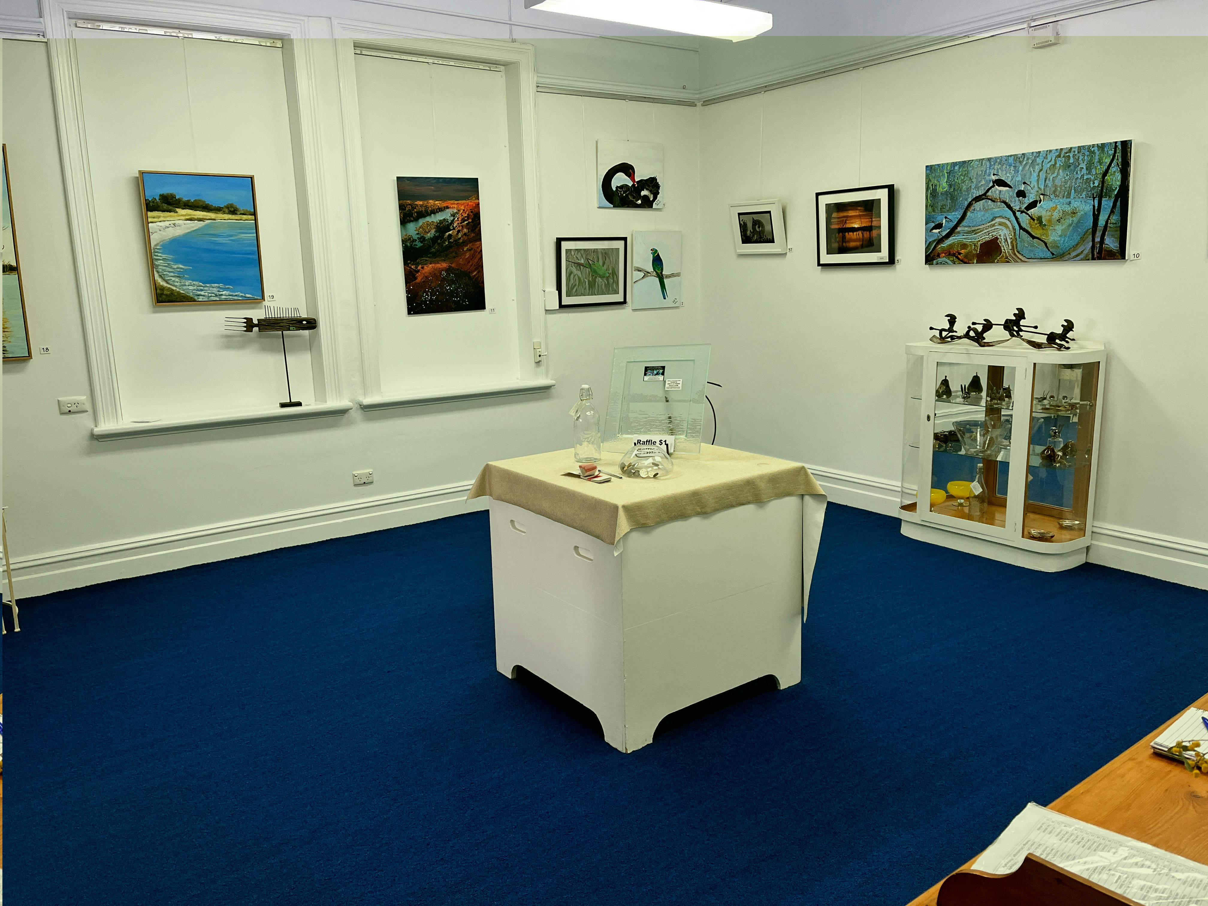 Rain Moth Gallery