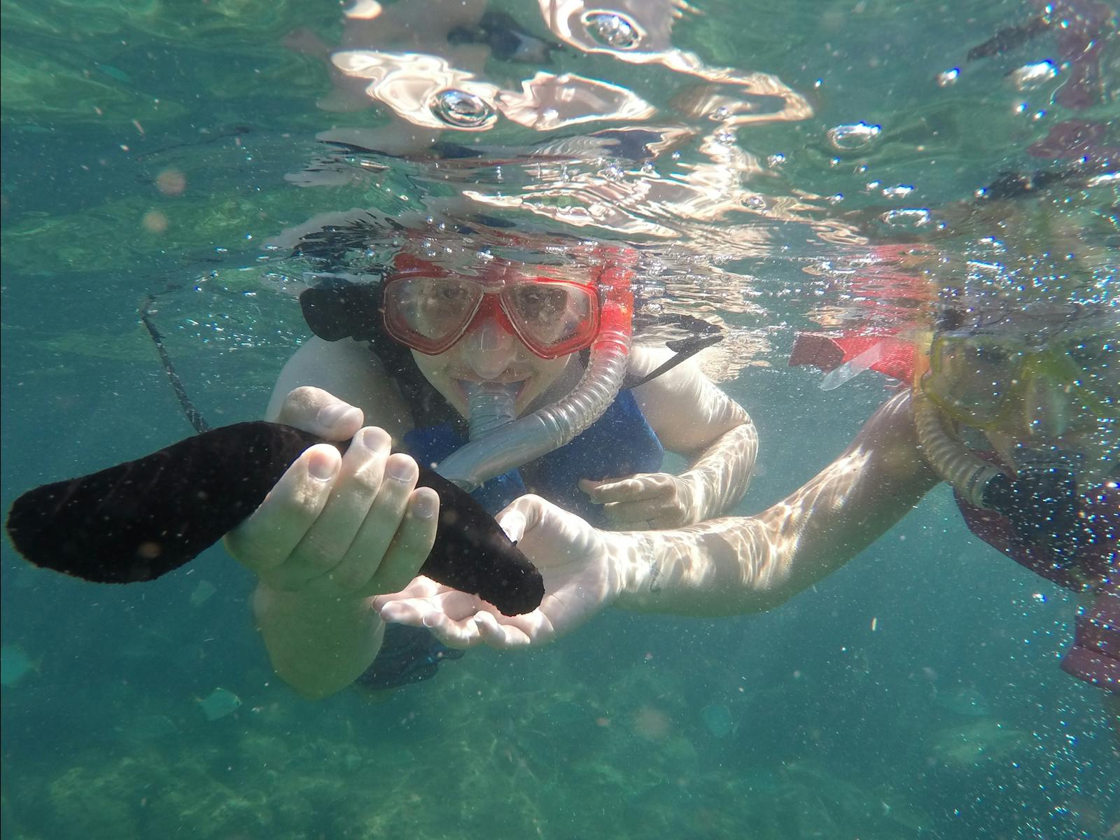 Australian Kayaking Adventures