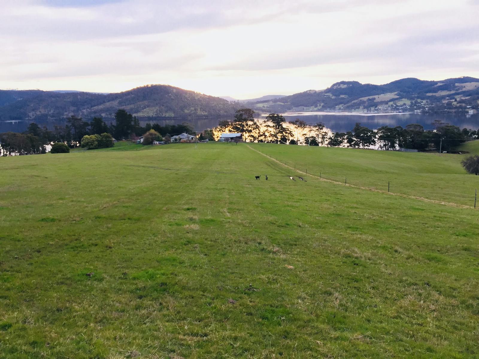 Paddock, river and mountains